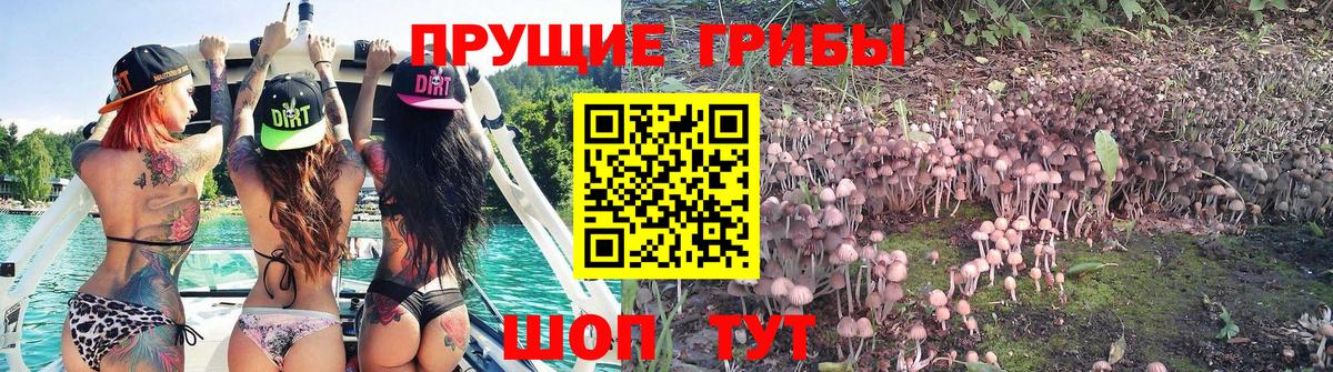 Воркута  Галлюциногенные грибы мухоморы  Вход с VPN  Галлюциногенные грибы Psilocybine cubensis 
