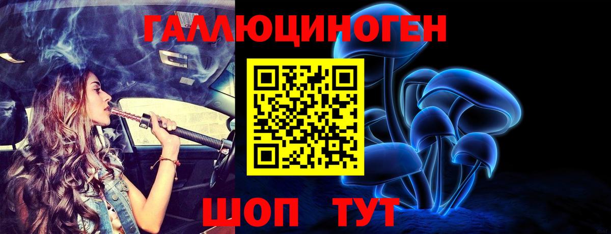 Галлюциногенные грибы мухоморы Воркута